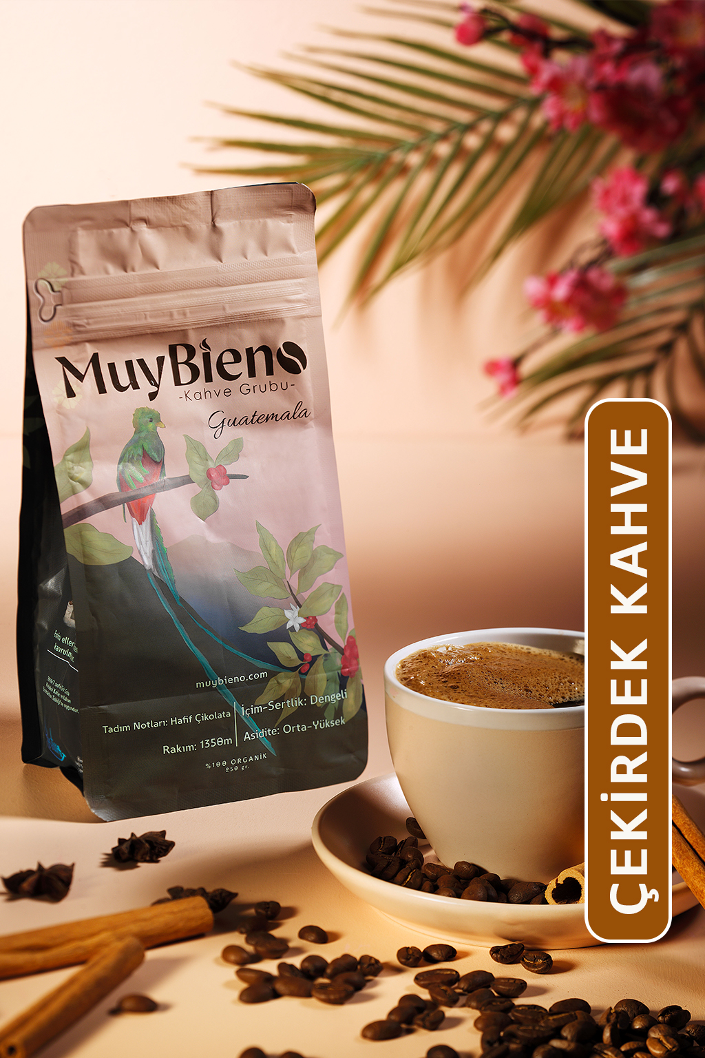 MUY15261027 MuyBieno Guatemala Huehuetenango 250 gr. Çekirdek Kahve - Görsel 1